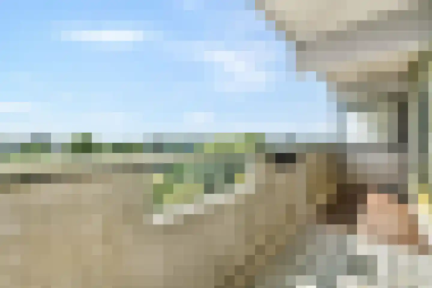 Grubbehoeve 820 Amsterdam thumbnail 7