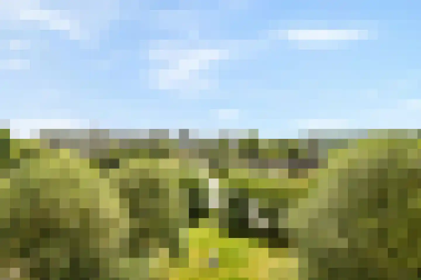 Grubbehoeve 820 Amsterdam thumbnail 8