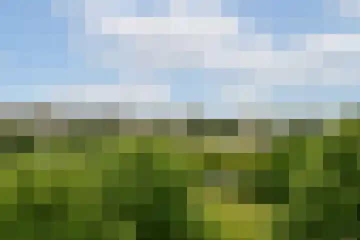 Grubbehoeve 822 Amsterdam thumbnail 10