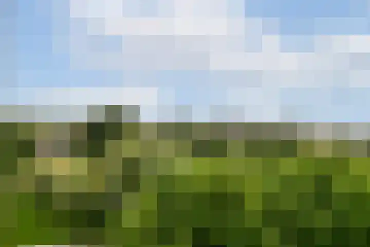Grubbehoeve 822 Amsterdam thumbnail 11