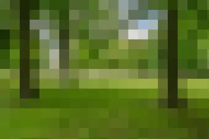 Grubbehoeve 822 Amsterdam thumbnail 12