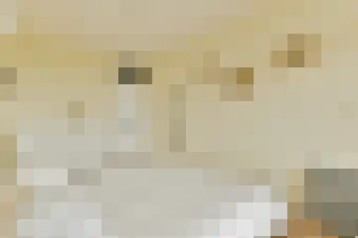 Grubbehoeve 822 Amsterdam thumbnail 18