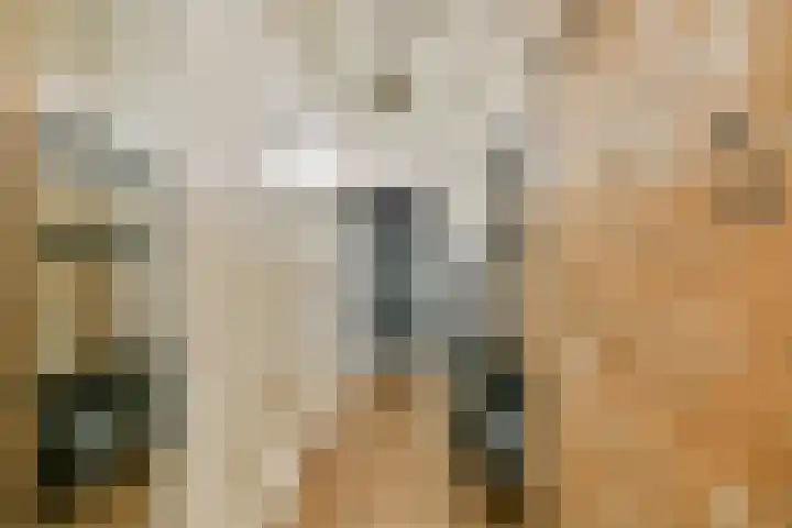 Grubbehoeve 822 Amsterdam thumbnail 21