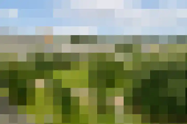 Grubbehoeve 822 Amsterdam thumbnail 23