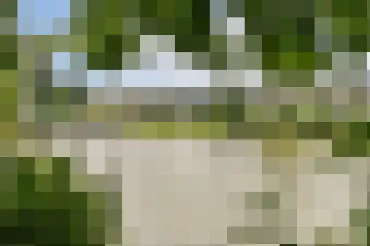 Grubbehoeve 822 Amsterdam thumbnail 26