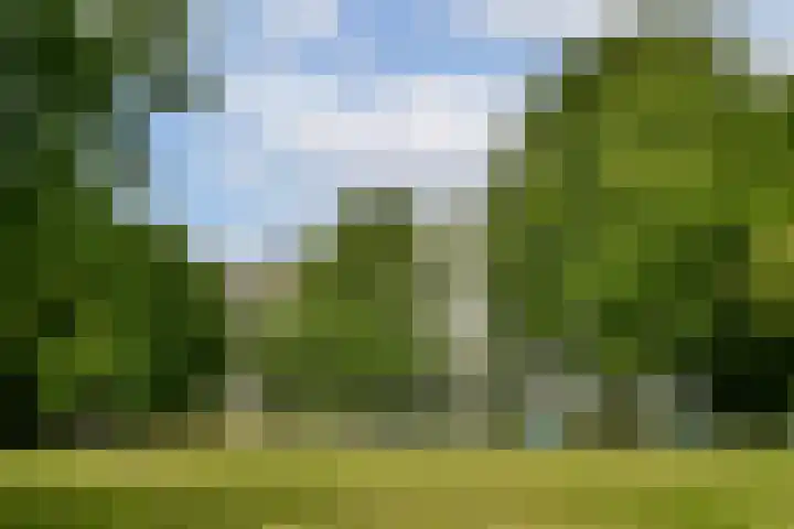 Grubbehoeve 822 Amsterdam thumbnail 27
