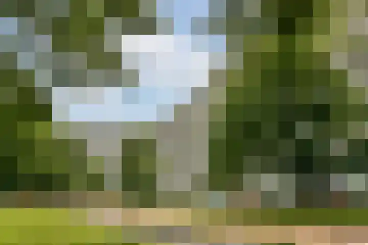Grubbehoeve 822 Amsterdam thumbnail 28