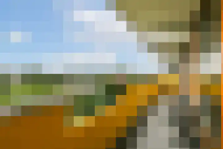 Grubbehoeve 822 Amsterdam thumbnail 8