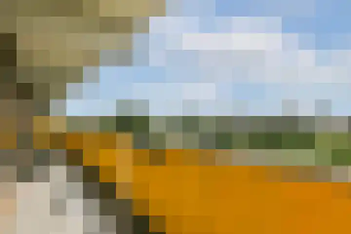 Grubbehoeve 822 Amsterdam thumbnail 9
