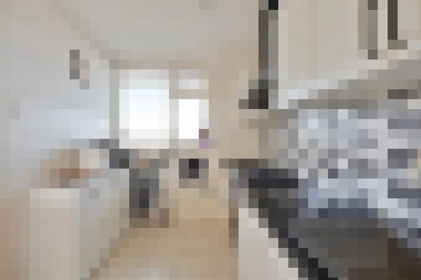 Grubbehoeve 824 Amsterdam thumbnail 8
