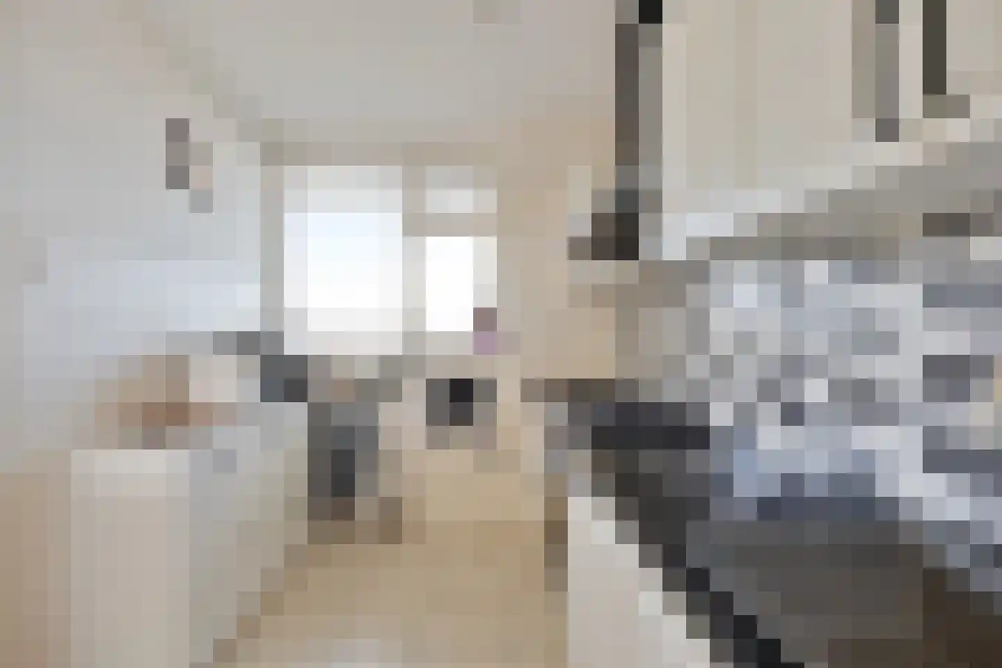 Grubbehoeve 824 Amsterdam thumbnail 8
