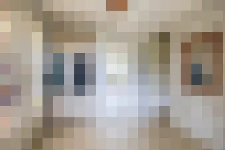 Grubbenvorsterweg 1 Sevenum thumbnail 12