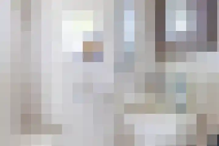 Grubbenvorsterweg 1 Sevenum thumbnail 13