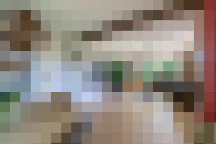 Grubbenvorsterweg 1 Sevenum thumbnail 16