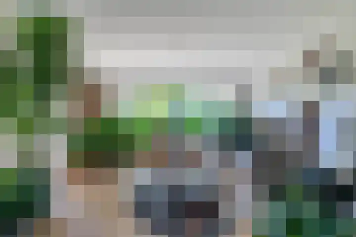 Grubbenvorsterweg 1 Sevenum thumbnail 19