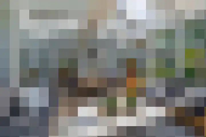 Grubbenvorsterweg 1 Sevenum thumbnail 29