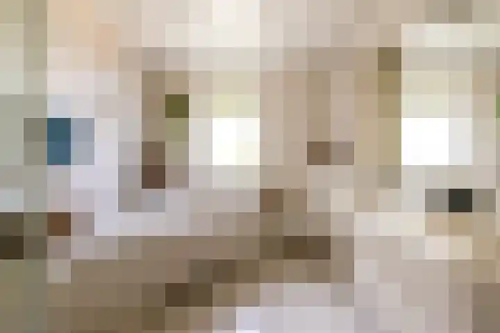 Grubbenvorsterweg 1 Sevenum thumbnail 31