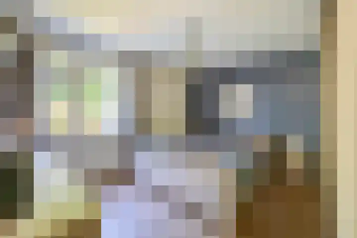 Grubbenvorsterweg 1 Sevenum thumbnail 36