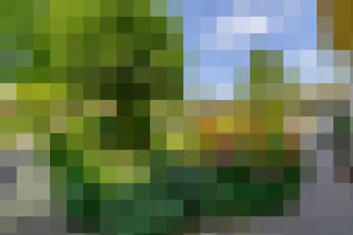 Grubbenvorsterweg 1 Sevenum thumbnail 41