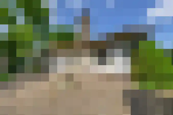 Grubbenvorsterweg 1 Sevenum thumbnail 43
