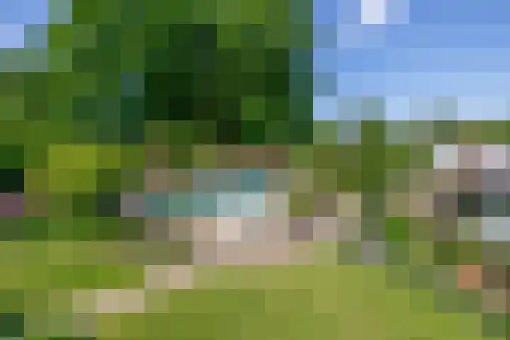 Grubbenvorsterweg 1 Sevenum thumbnail 48