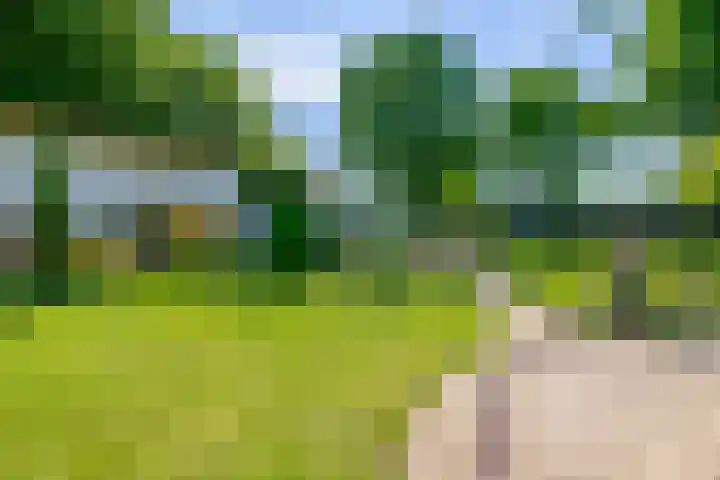 Grubbenvorsterweg 1 Sevenum thumbnail 52
