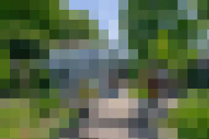 Grubbenvorsterweg 1 Sevenum thumbnail 54