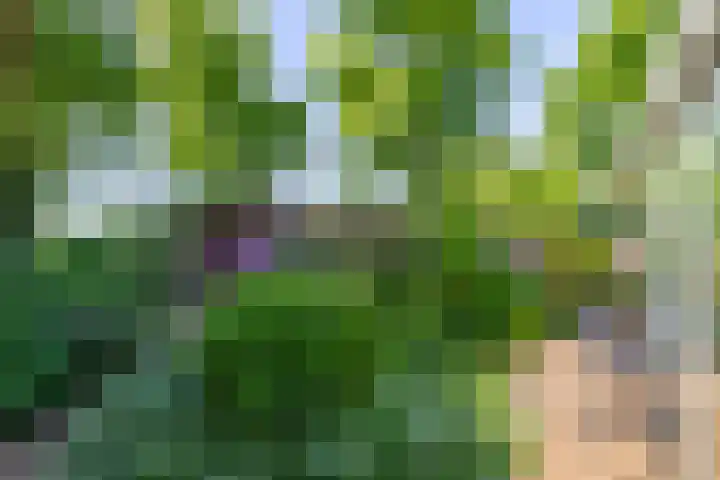 Grubbenvorsterweg 1 Sevenum thumbnail 55