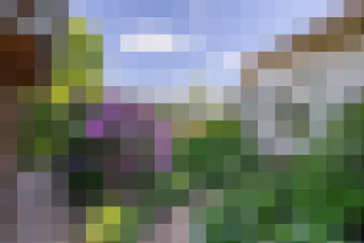 Grubbenvorsterweg 1 Sevenum thumbnail 56