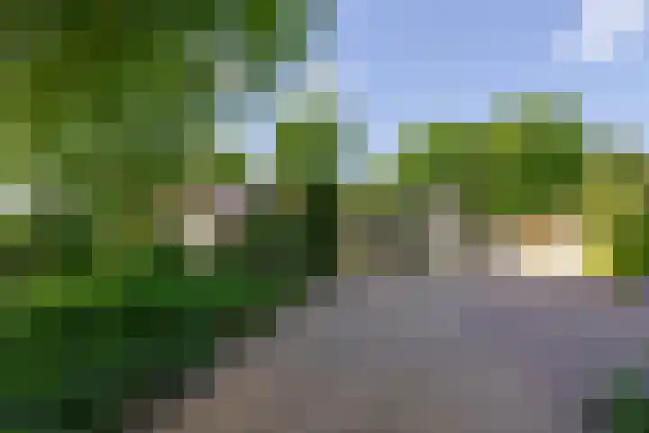 Grubbenvorsterweg 1 Sevenum thumbnail 6