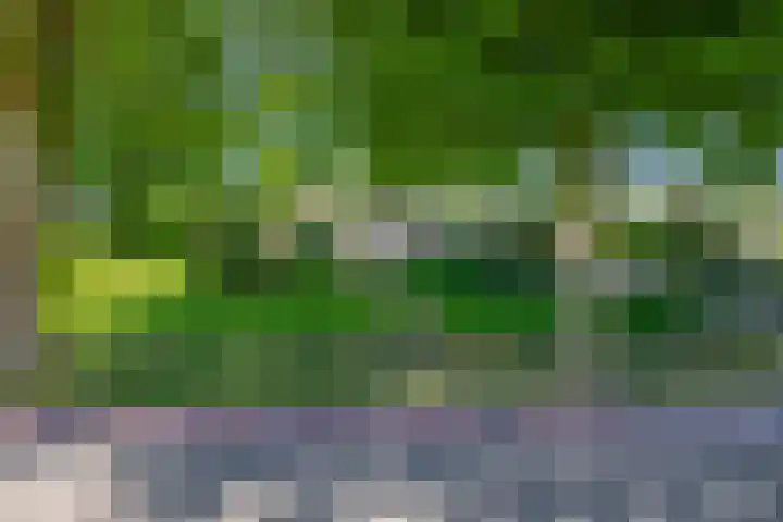 Grubbenvorsterweg 1 Sevenum thumbnail 7