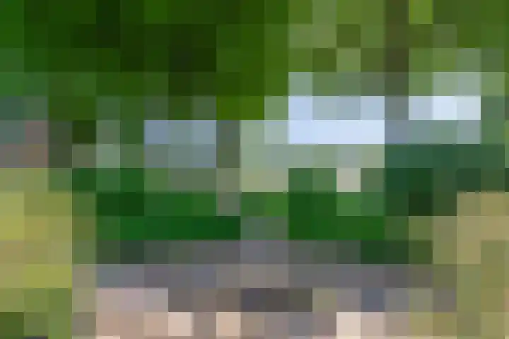 Grubbenvorsterweg 1 Sevenum thumbnail 9