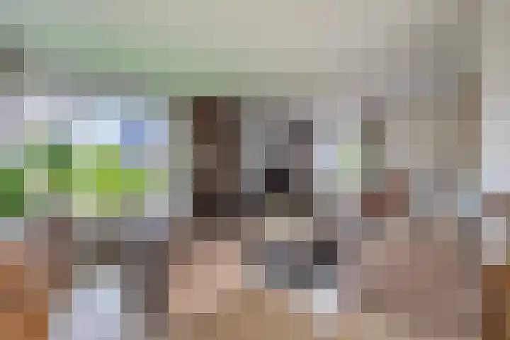 Grubbenvorstpad 8 Arnhem thumbnail 12