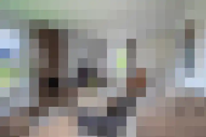 Grubbenvorstpad 8 Arnhem thumbnail 13