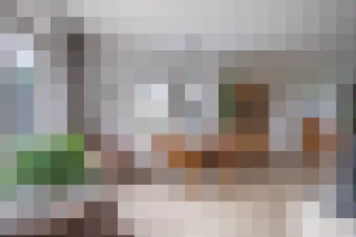 Grubbenvorstpad 8 Arnhem thumbnail 17