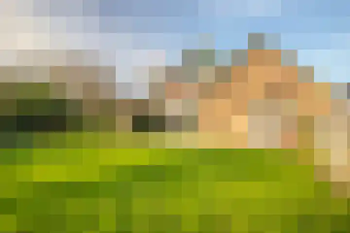 Grubbenvorstpad 8 Arnhem thumbnail 22