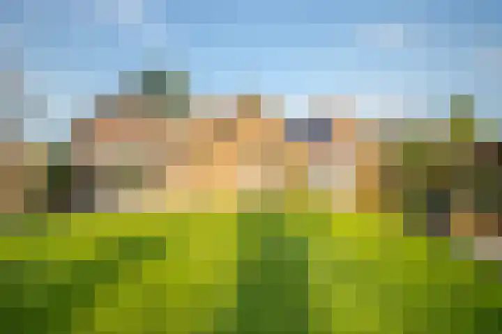 Grubbenvorstpad 8 Arnhem thumbnail 24