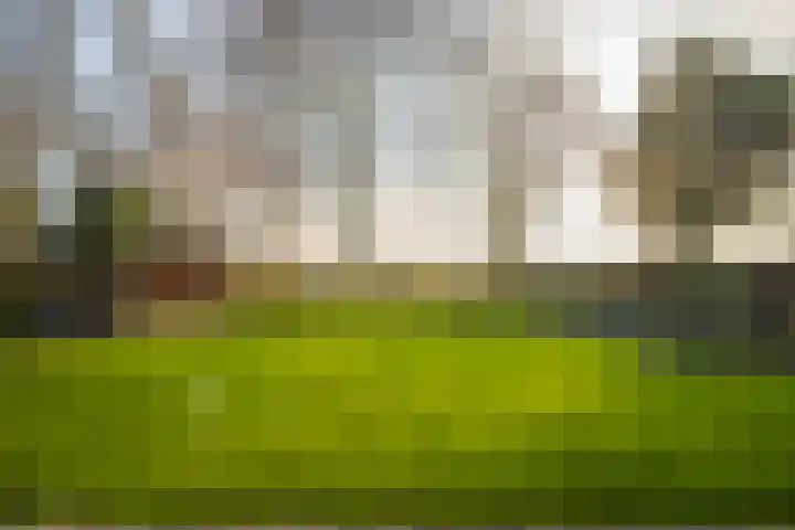 Grubbenvorstpad 8 Arnhem thumbnail 25