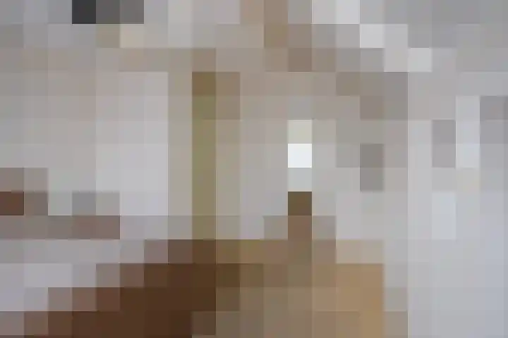 Grubbenvorstpad 8 Arnhem thumbnail 28
