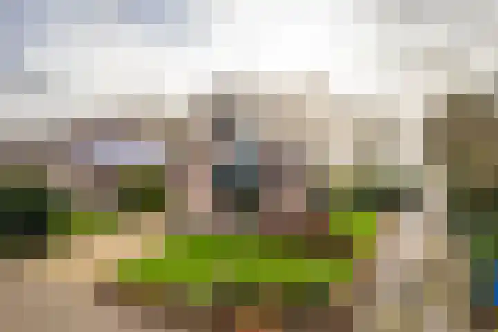 Grubbenvorstpad 8 Arnhem thumbnail 37