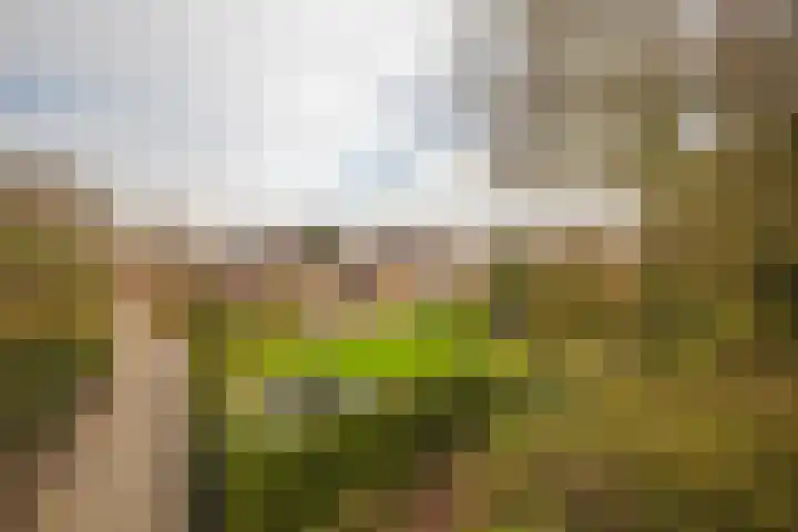 Grubbenvorstpad 8 Arnhem thumbnail 38