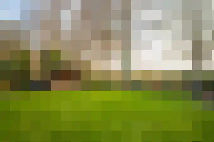 Grubbenvorstpad 8 Arnhem thumbnail 39