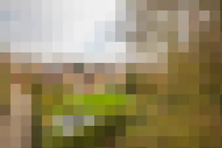 Grubbenvorstpad 8 Arnhem thumbnail 4