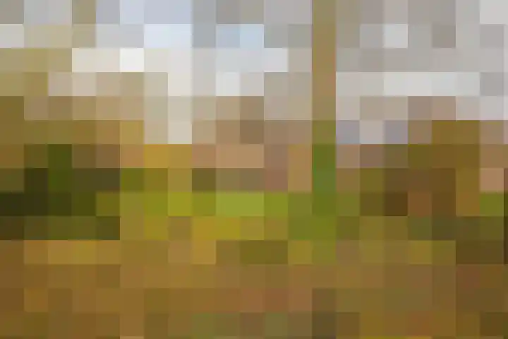 Grubbenvorstpad 8 Arnhem thumbnail 5
