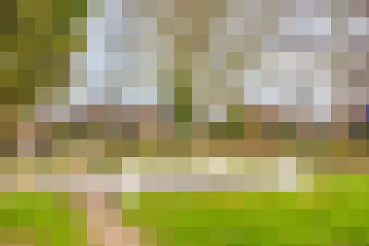 Grubbenvorstpad 8 Arnhem thumbnail 6
