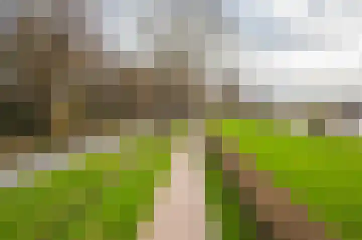 Grubbenvorstpad 8 Arnhem thumbnail 7