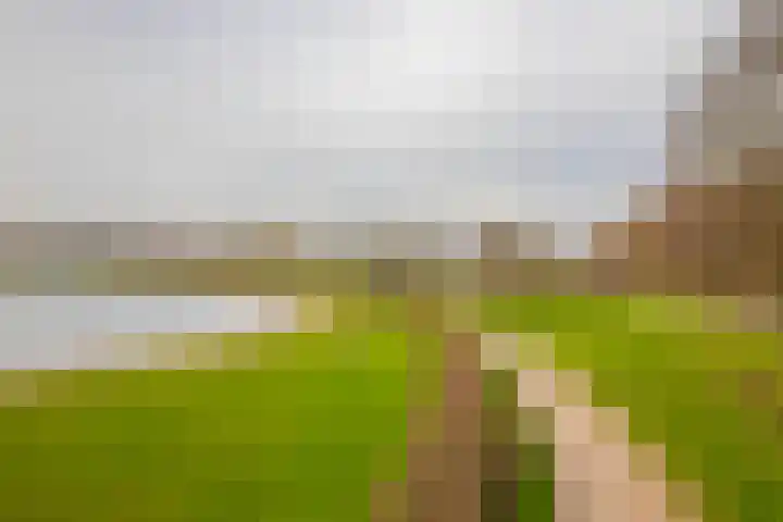 Grubbenvorstpad 8 Arnhem thumbnail 8