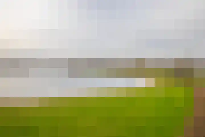 Grubbenvorstpad 8 Arnhem thumbnail 9