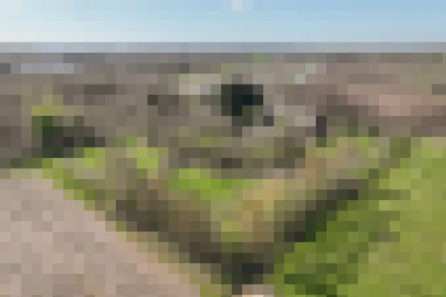 Gruinten 62 in Emmer-Compascuum