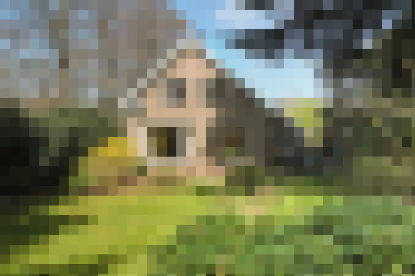 Gruinten 62 Emmer-Compascuum thumbnail 30